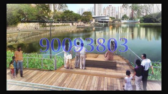 Blk 241 Bukit Panjang Ring Road (Bukit Panjang), HDB 5 Rooms #83661192